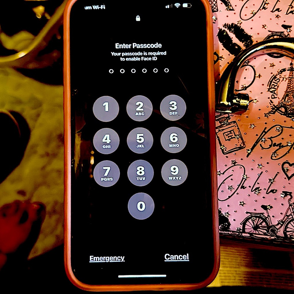iPhone 14+ 264 GB unlocked